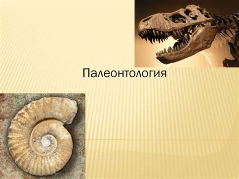 Палеонтология В Картинках Купить – Telegraph
