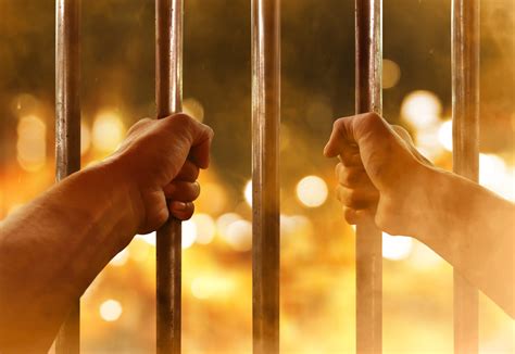 inmate florida search 4