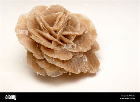 Desert rose from the Sahara desert Stock Photo - Alamy