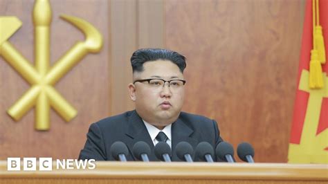Profile: North Korean leader Kim Jong Un - BBC News