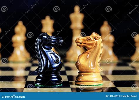 Chess Game Black and White Knights Face To Face Stock Image - Image of ...