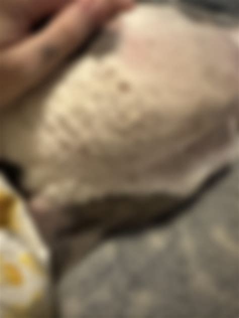 My dog gets overexcited while playing and bites my other dog so hard