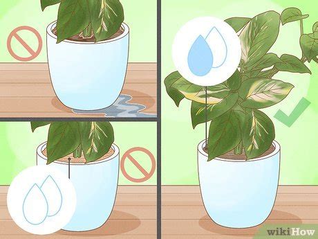 8 Green Secrets To Unlock The Perfect Plant Parenting