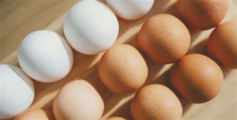 Any Egg, Anywhere. The #1 Egg Supplier | Eggs Unlimited