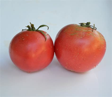 Dragon's Eye Tomato Seeds