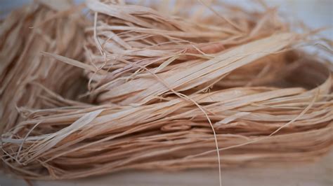 unveiling  wonders  raffia exploring  versatility  benefit