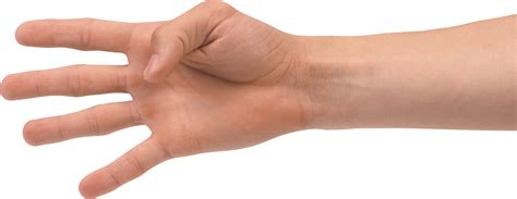 Hands PNG, hand image free
