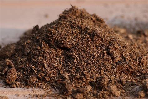 Види торфу та його властивості | GREEN-RICH