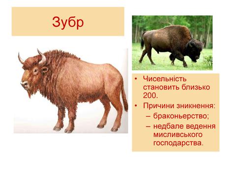 Презентація "Червона книга України" (Тварини)