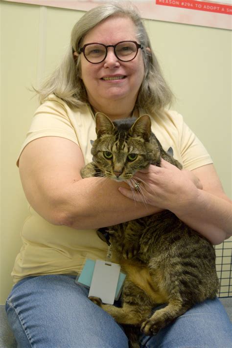 Lost & Found Pets | Humane Society of Missouri