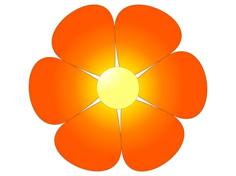 an orange flower with four petals in the center and one at the top, on a white background