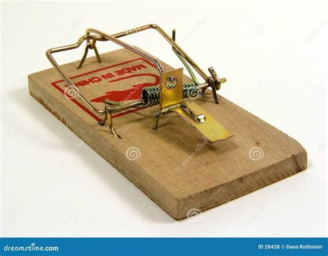 Mouse Trap Royalty-Free Stock Photo | CartoonDealer.com #15901215