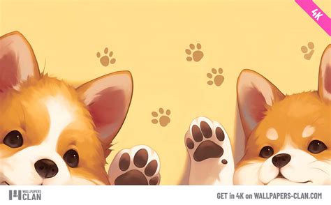 corgi wallpaper ah  queens dog   royal connection brought