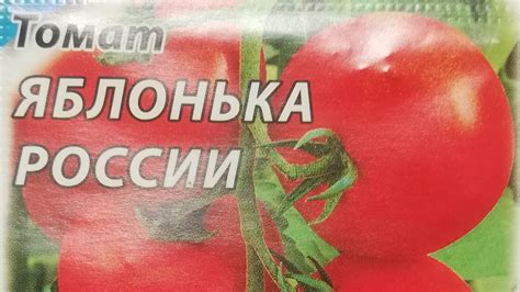Характеристика томатов сорта "Яблонька России" - реальные описание ...