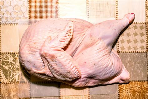 Don't Serve Poison: 5 Signs A Turkey Has Gone Bad