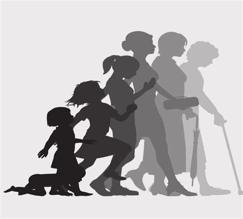 The stages of life | Columbus News Report