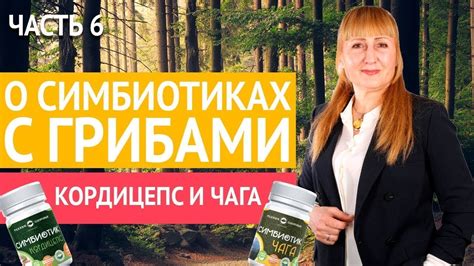 Родник здоровья | О Симбиотиках с грибами. Часть 6. Кордицепс и Чага ...