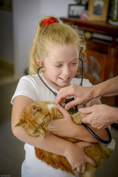 Keeping Your Pet Safe - South Coast Veterinary Services