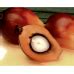 Масло пальмоядровое (раф.), купить в интернет-магазине Magicsoap.ru
