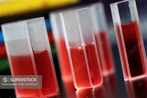 samples  quartz cuvettes superstock