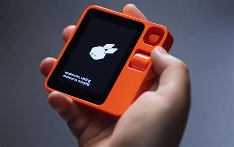 buy rabbit    countries dataconomy