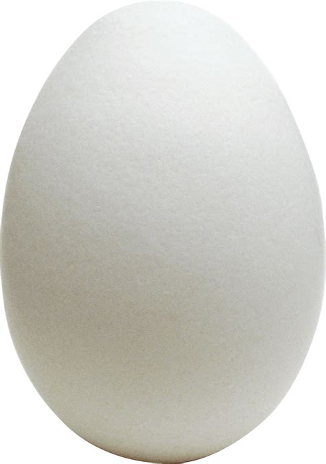 Egg Png Image Transparent HQ PNG Download | FreePNGimg