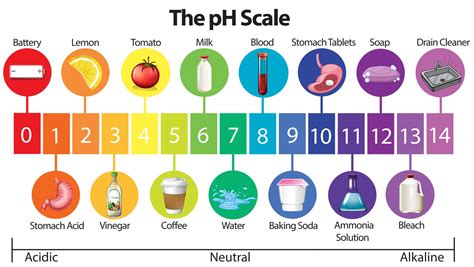 Do you know the pH of your shampoo? This is why you should. | naked ...