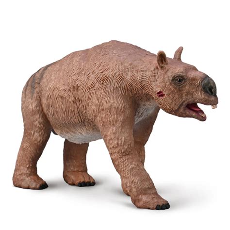 diprotodon australian age  dinosaurs museum shop