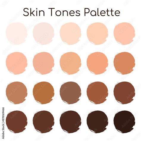 human skin tone color palette set isolated  white background vector