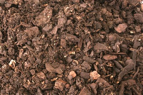 compost lifestyle home garden