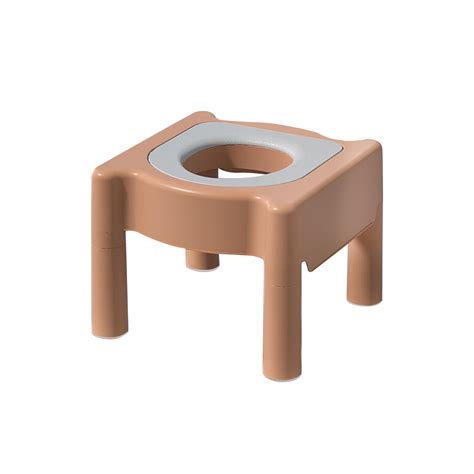 potty chair for adults
