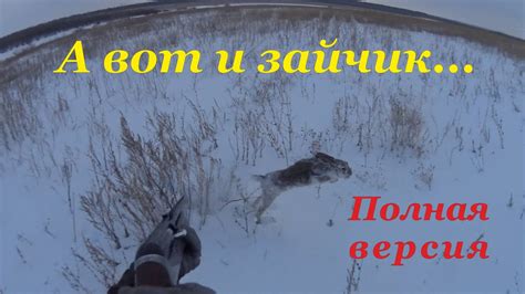 Охота на зайцев - А вот и зайчик!)) - YouTube