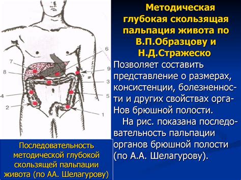 Пропедевтика. Расспрос, осмотр больных с заболеваниями органов ...