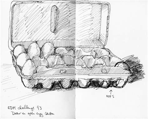 Egg Carton Drawing at PaintingValley.com | Explore collection of Egg ...