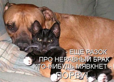 340082 | Tony.Vk | Flickr