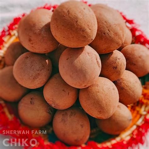 Fresh Chiko Fruits Straight from Mirpur Khas, Pakistan - Sherwah