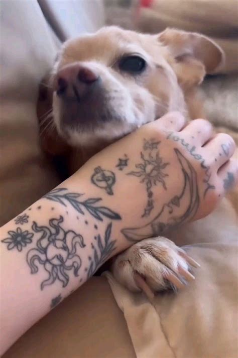 900+ ideias de Ariana Grande em 2025 | ariana, ariana grande, ariana