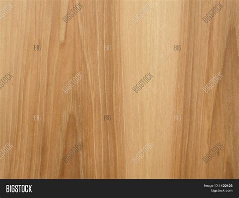 Hickory Wood Texture