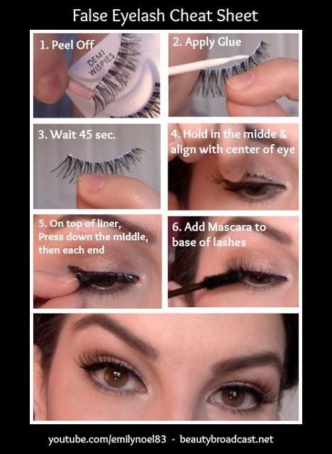 How to Apply Fake Eyelashes : r/BeautyDiagrams