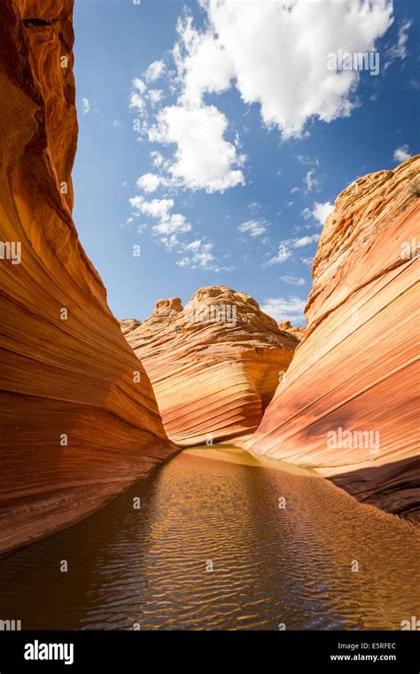 wave arizona reflections amazing flowing rock formation
