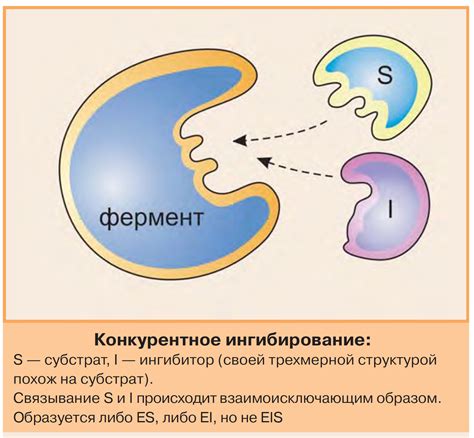 Рисунок ферменты (много фото) - drawpics.ru