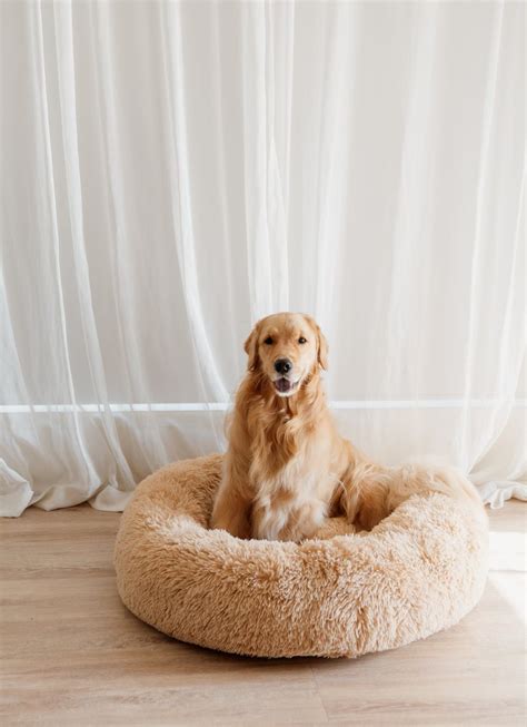 Calming Dog Bed – Sashbeds