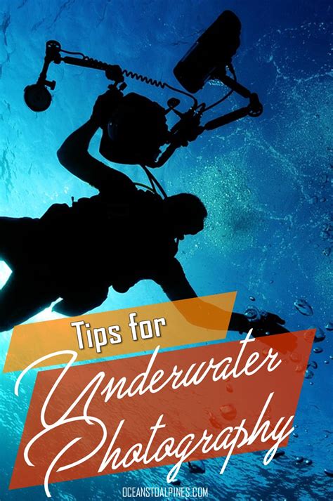 Underwater Photography Tips — Oceans to Alpines