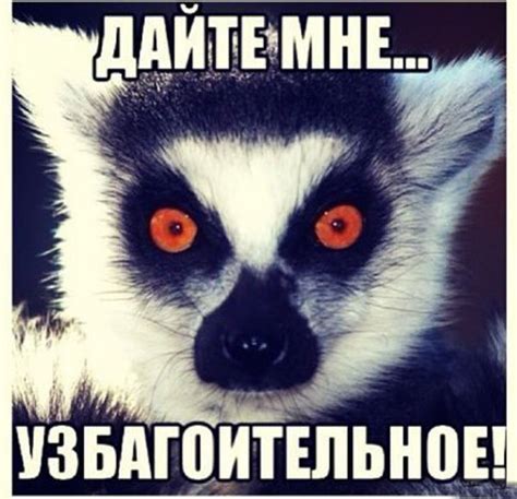 Скачать прикольные и красивые картинки: Откуда пошло "Узбагойся" на fun ...