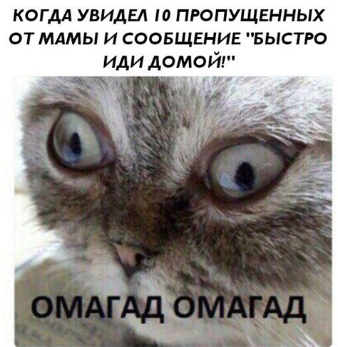 Самые лучшие приколы и смешные мемы 2017 - подборка за год | Канобу