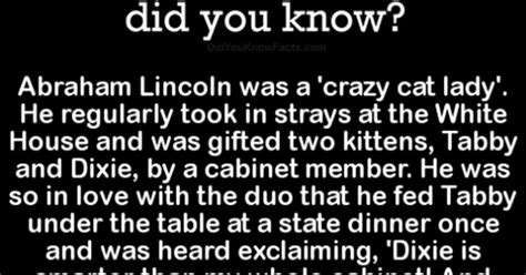 These Facts Will Force You Put on Your Thinking Cap