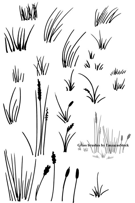grass and moss | Photoshop Free Brushes | 123Freebrushes