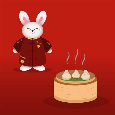 Chinese rabbit, bunny in kimono with Dumpling on Steamed. Vector