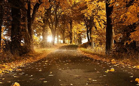 Best Wallpapers for Laptop, Nature, Autumn, beautiful nature wallpapers