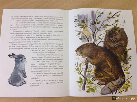 Книга: Листопадничек - Иван Соколов-Микитов. Купить книгу, читать ...